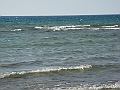 Western Michigan [2010] 871